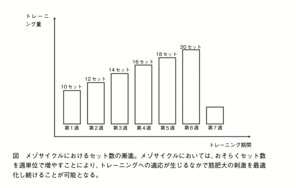 メゾサイクルにおけるセット数の漸進を示したグラフ