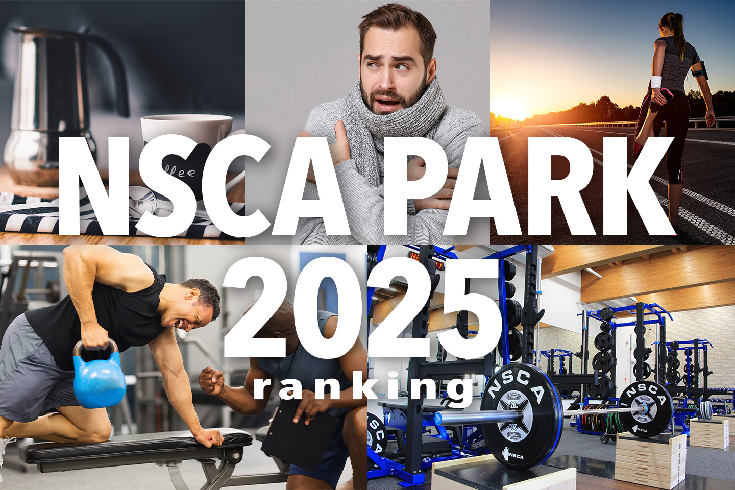 2025年ランキング