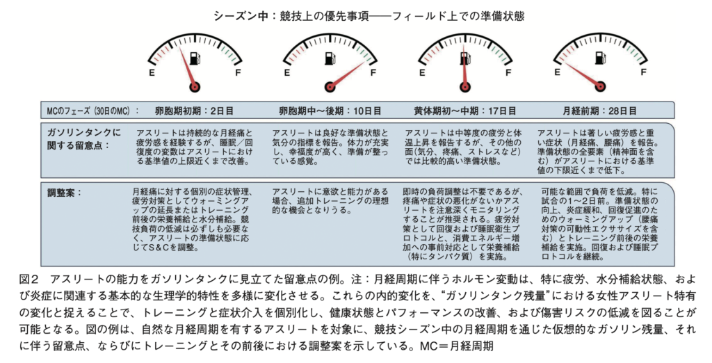 図2 アスリートの能力をガソリンタンクに見立てた留意点の例