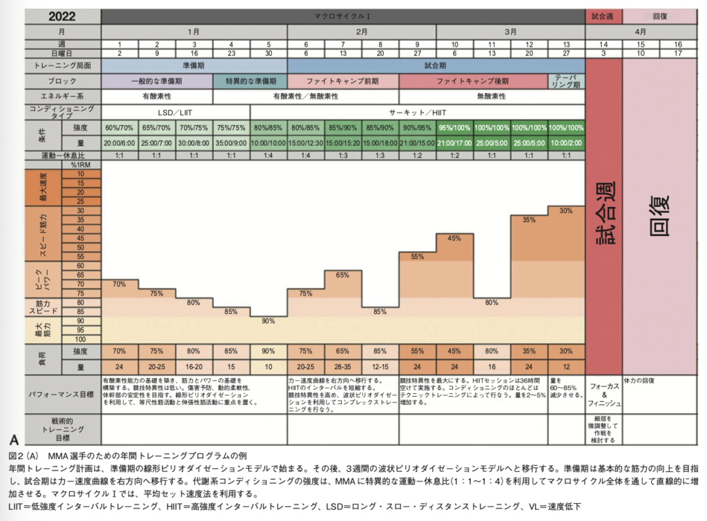 図2(A) MMA選手のための年間トレーニングプログラムの例
