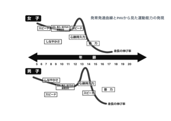 発育発達曲線とPHVから見た運動能力の発見